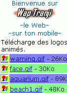 wap.tranji.free.fr
