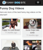 www.funnydogsite.com