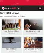 www.funnycatsite.com /videos